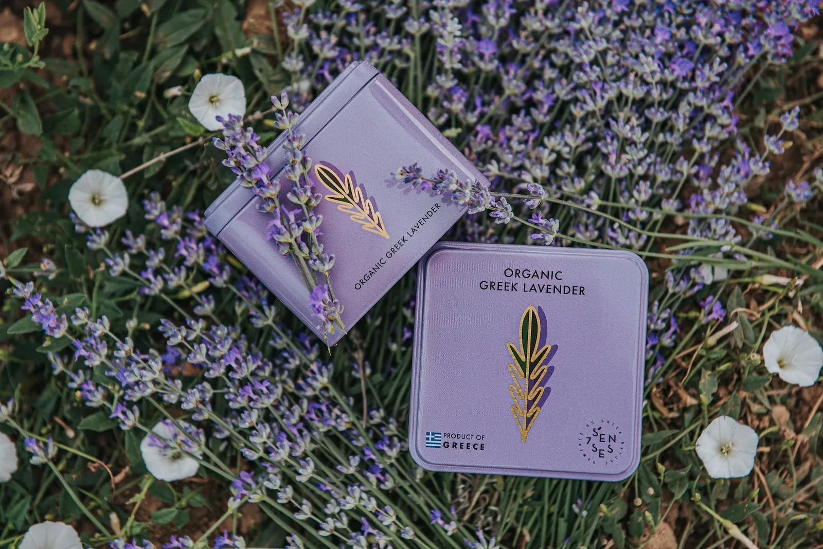Dragonfly Blend — Seven Senses Organic US — Tea wholesaler in Long Island City