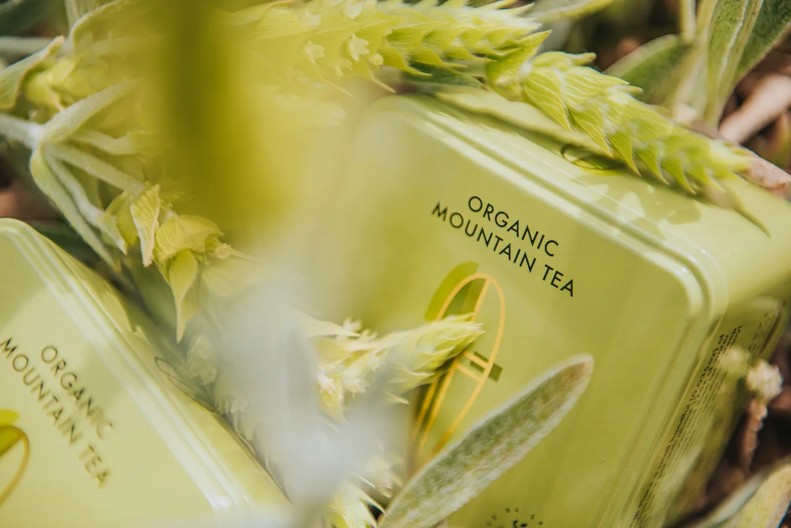 Ladybug Tea — Seven Senses Organic US — Tea wholesaler in Long Island City