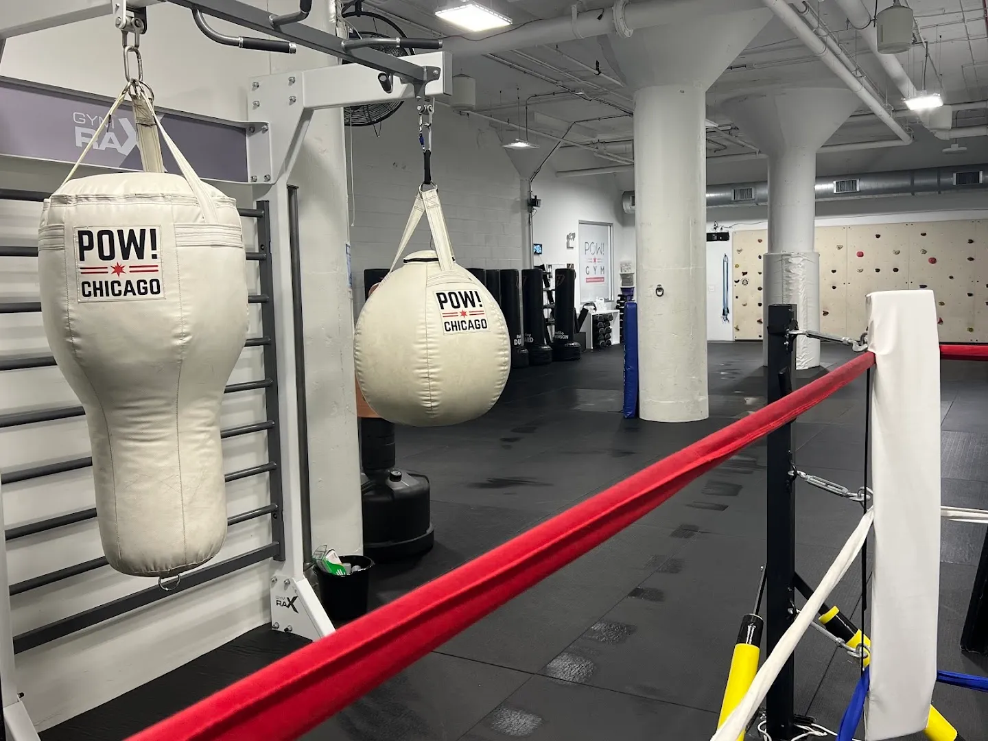 Kids summer camps — POW! Gym Chicago & Chicago Parisi Speed School — Personal trainer in Chicago