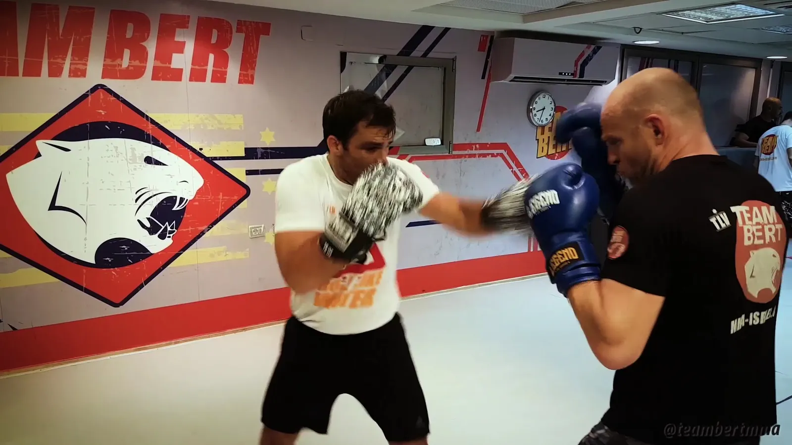 Classic Boxing — Team Bert MMA / BJJ — Sports club in Tel Aviv-Yafo