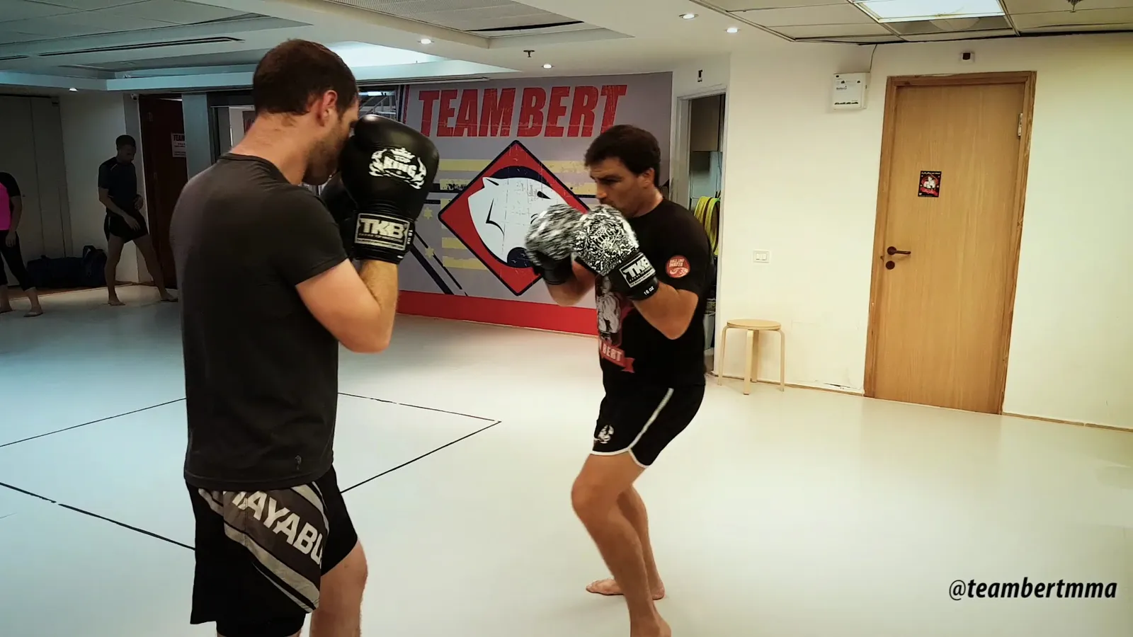 Kids Capoeira — Team Bert MMA / BJJ — Sports club in Tel Aviv-Yafo