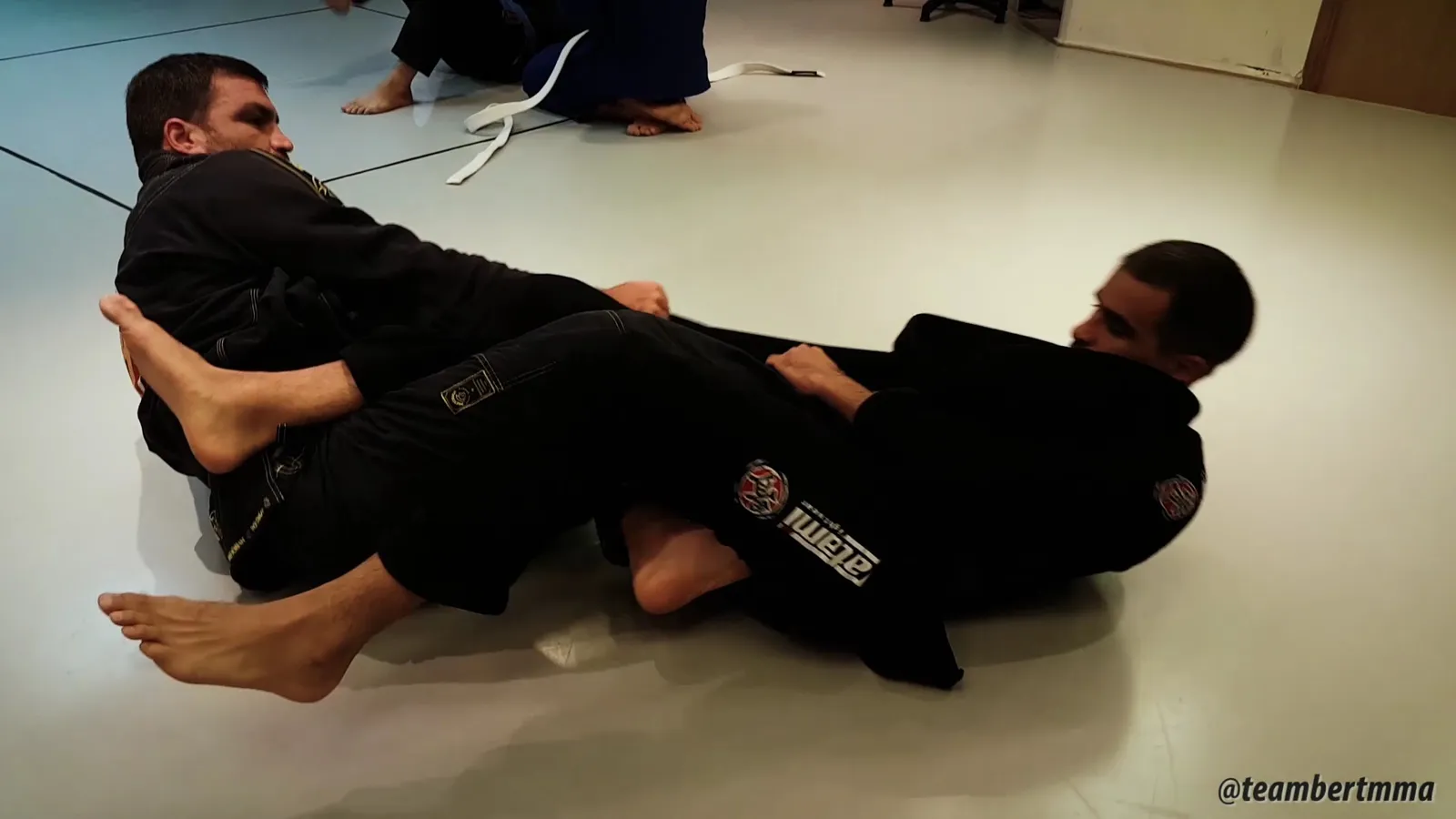 Beginner Classes — Team Bert MMA / BJJ — Sports club in Tel Aviv-Yafo