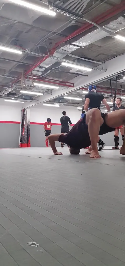 Private Instruction — Team Bert MMA / BJJ — Sports club in Tel Aviv-Yafo