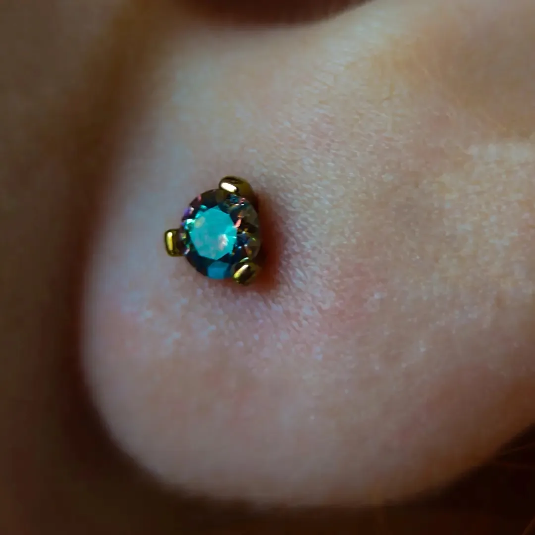 Carol Hollywood Piercing & Tattoo