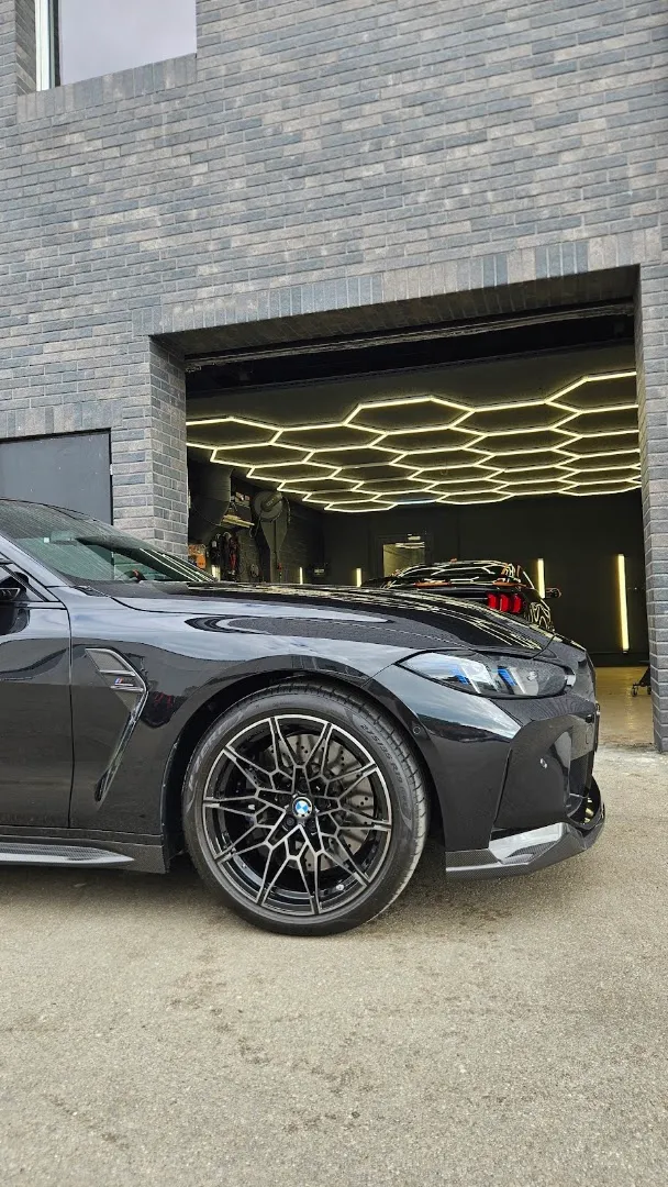 Professional Master — Blizgus Auto — Car detailing service in Klaipeda