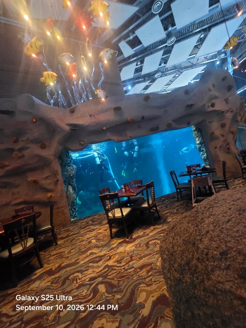Aquarium Dining — Aquarium Restaurant — Seafood restaurant in Denver