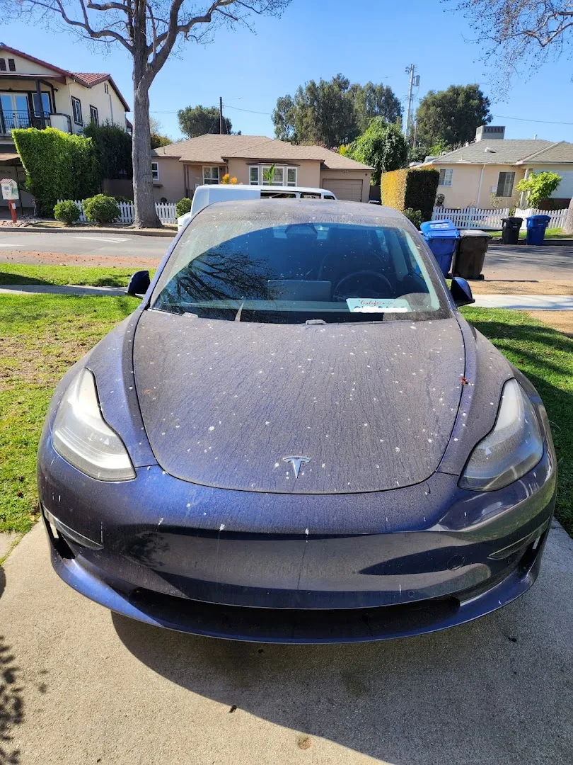 Thorough Quality — Mar Vista Detail — Car detailing service in Culver City