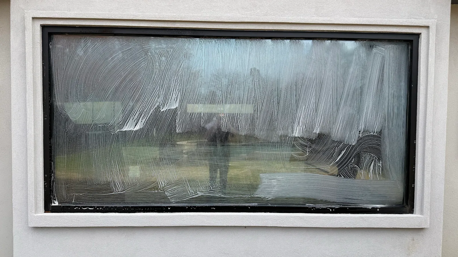 Next Level Window Cleaning