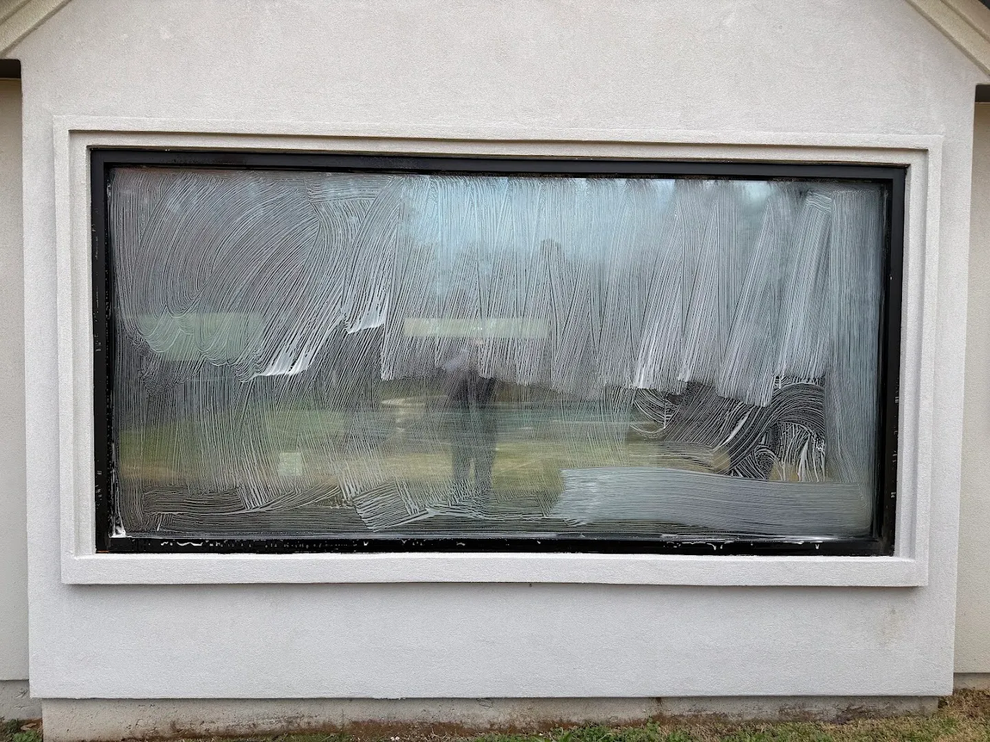 Next Level Window Cleaning