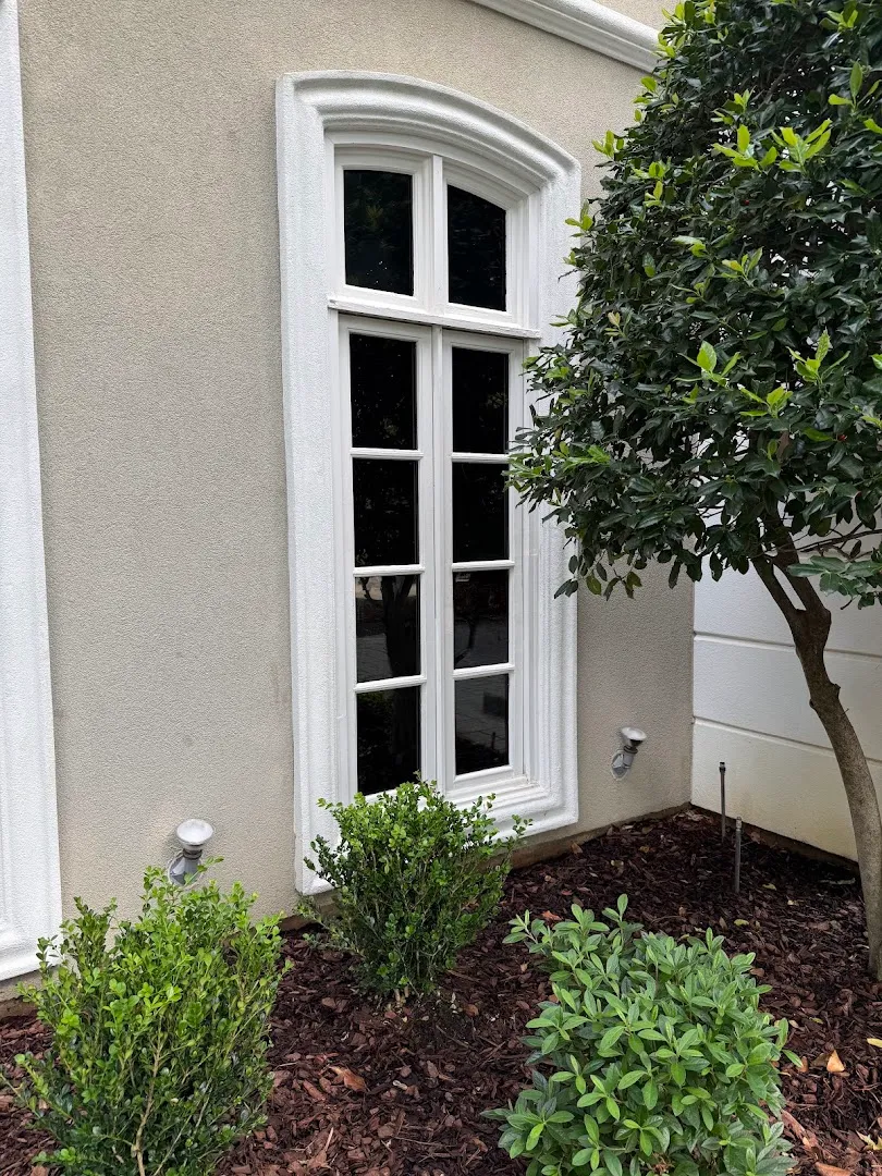 Next Level Window Cleaning
