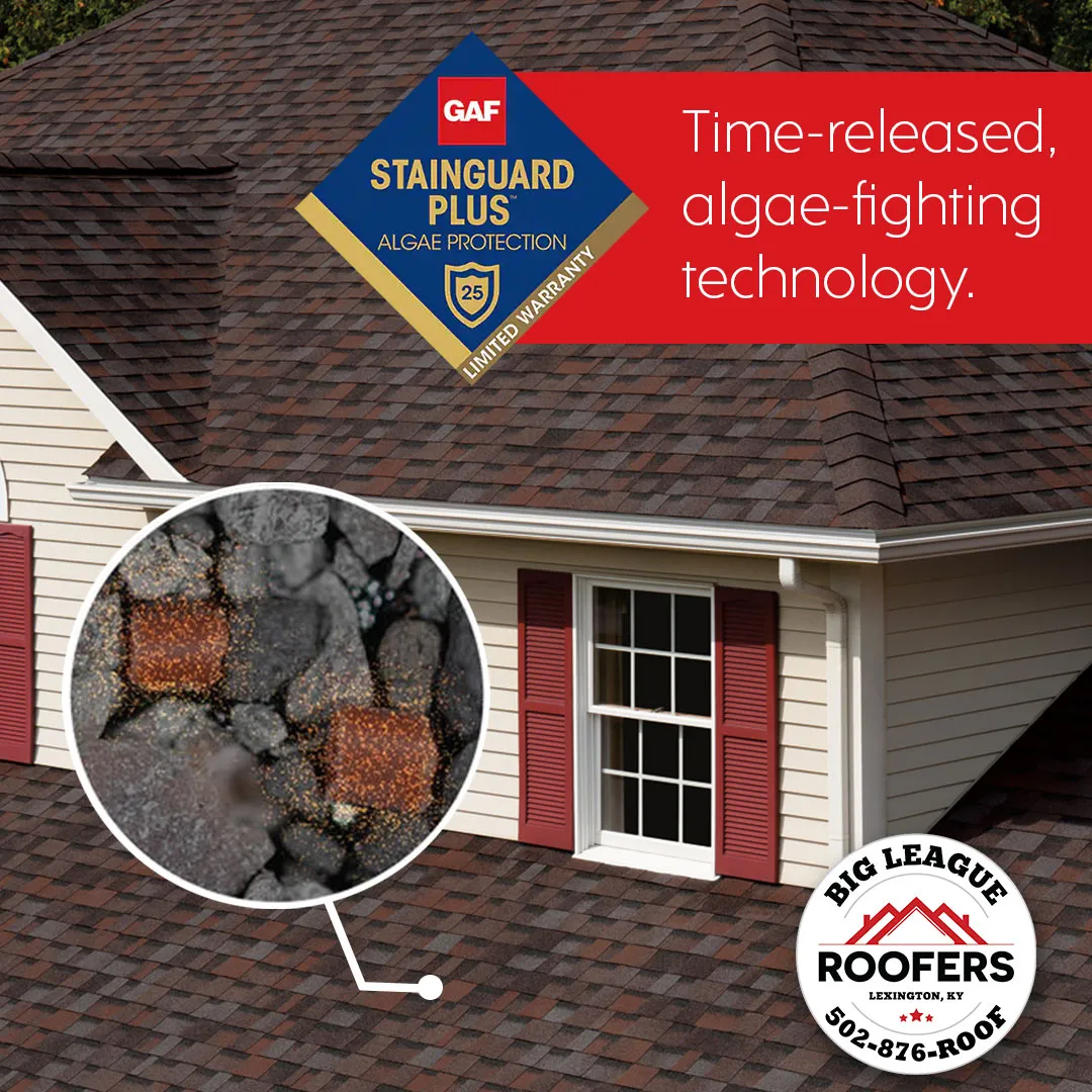 Insurance & Grant Help — Big League Roofers — Roofing contractor in Louisville