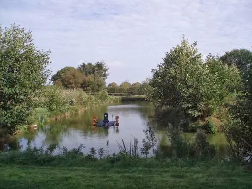 willow pond — Pipehill Fisheries — Fishing lake in Lichfield