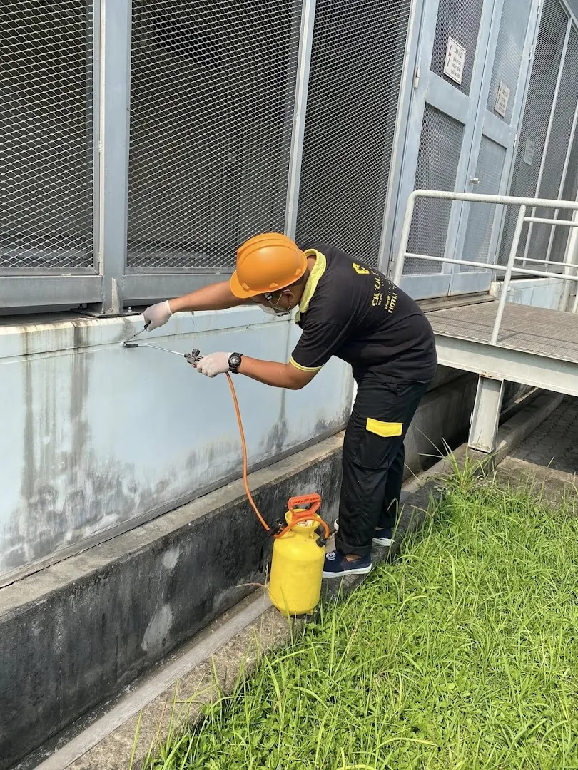 Xử lý mối tận gốc — Diệt mối tận gốc Quốc Phong — Pest control service in Ha Noi