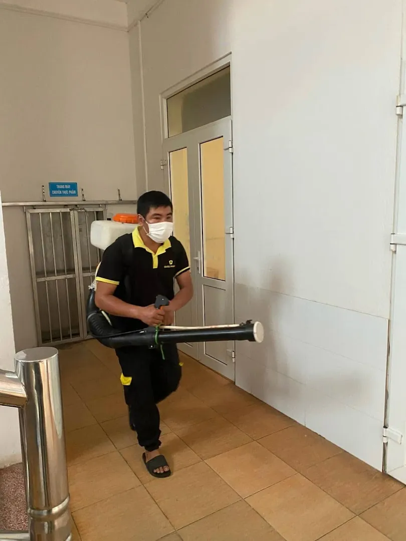 Dịch vụ diệt mối hệ thống — Diệt mối tận gốc Quốc Phong — Pest control service in Ha Noi