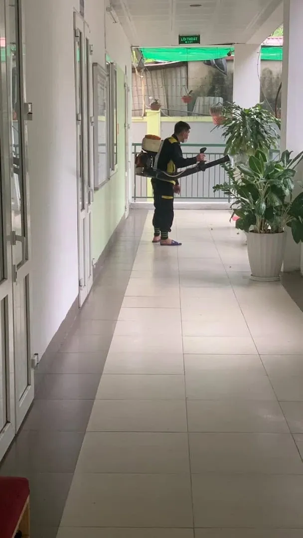 Báo giá online diệt mối — Diệt mối tận gốc Quốc Phong — Pest control service in Ha Noi