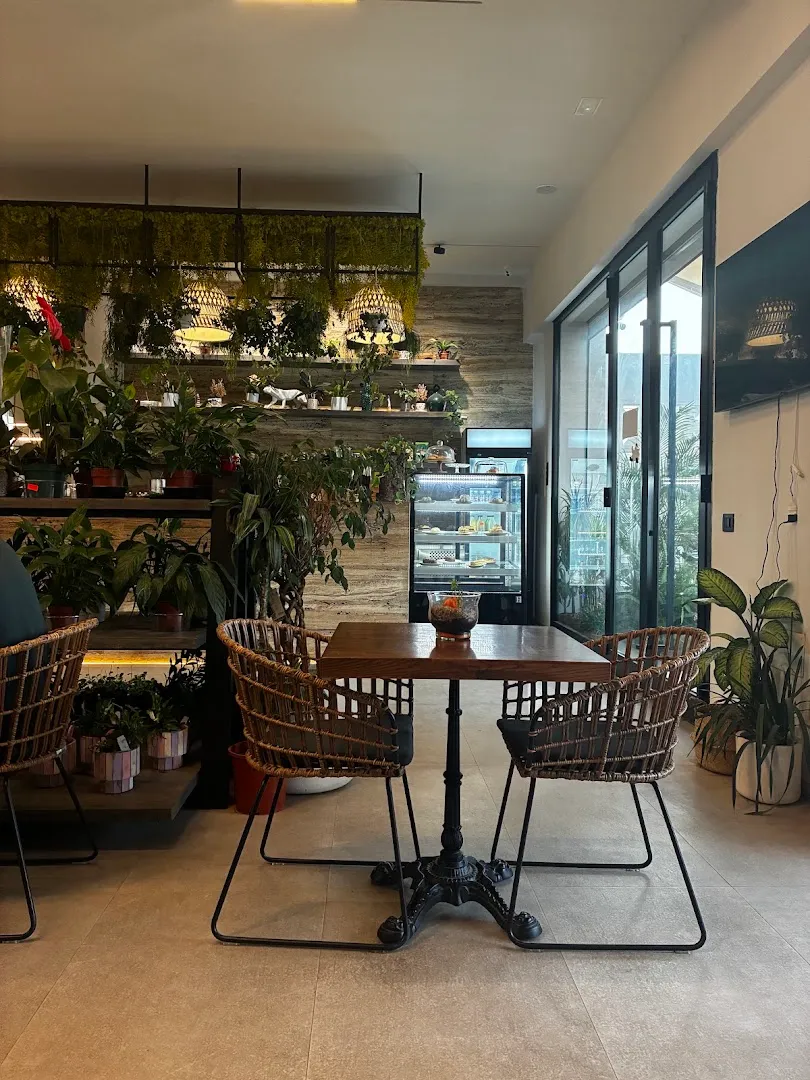 Smoothie rosé — Verde cafe — Coffee shop in المرازقة