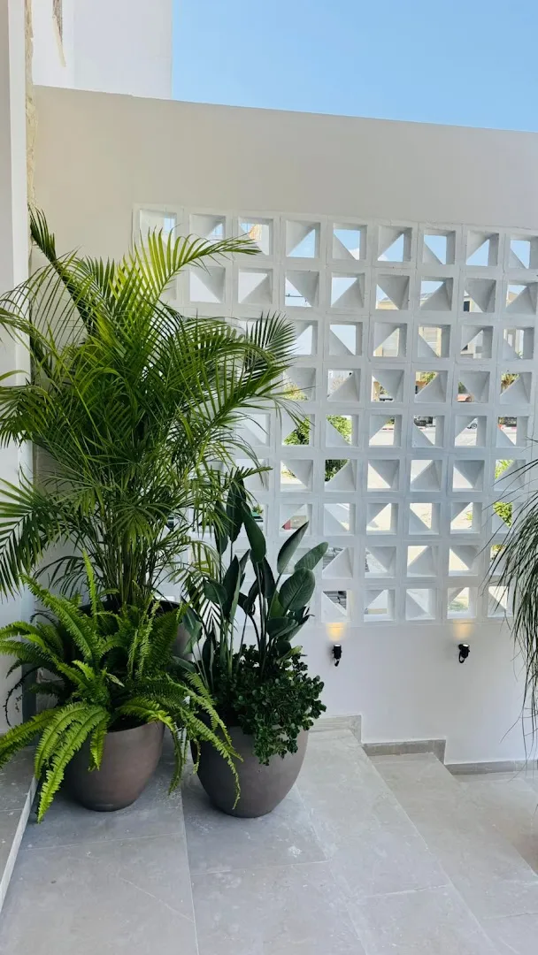 Recettes équilibrées — Verde cafe — Coffee shop in المرازقة