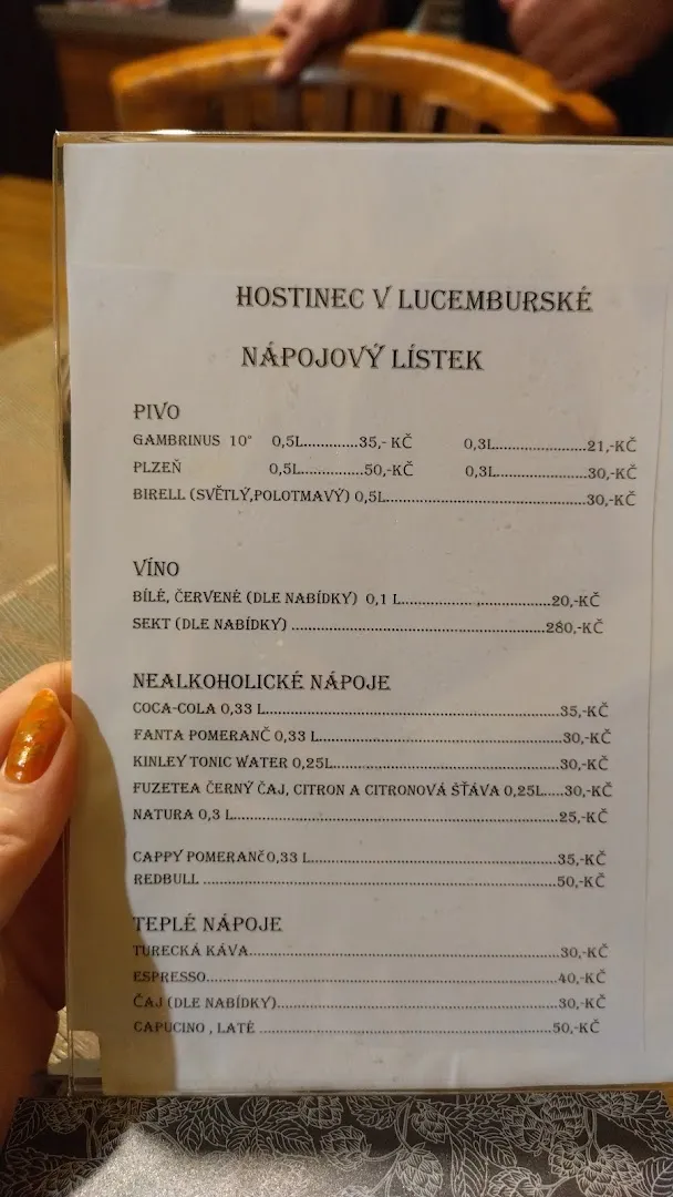 Hostinec V Lucemburské — hospoda v Vinohrady (15)